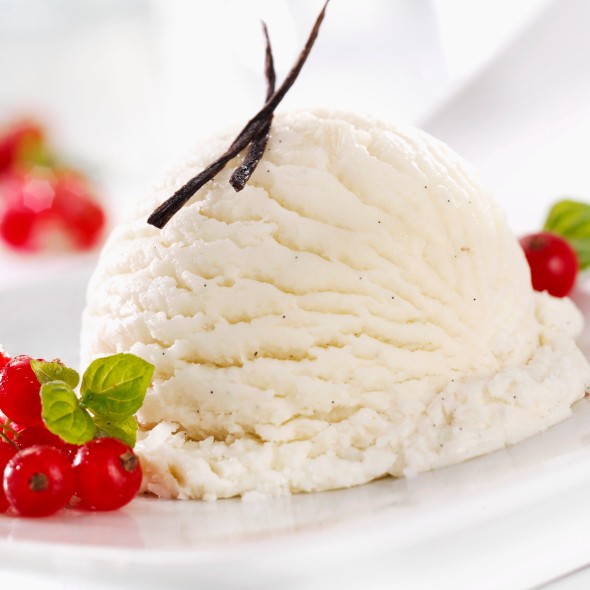 A scoop of vanilla ice cream with fresh redcurrants