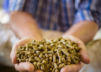 Close up image of hands holding animal feed at a stock yard