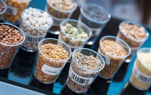 Seeds and cereals