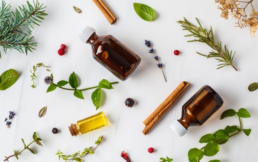Ingredients for essential oil. Different herbs and bottles of essential oil, white background, flatlay.