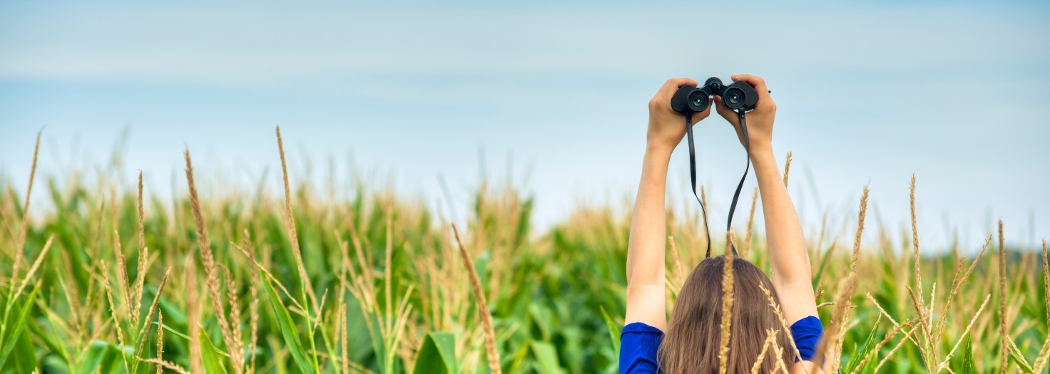  Woman Holding A Binocular In The Field