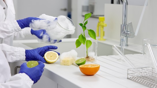 Gloved hands cleaning laboratory glasses and holding citrus fruits