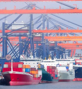 Container terminal in the harbor