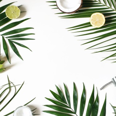 Styled beauty frame, web banner. Skin cream, soap bottle, coconut, lemons and lime fruit on lush palm leaves. White table background. Cosmetics, spa and tropical summer concept, flat lay, top view.
