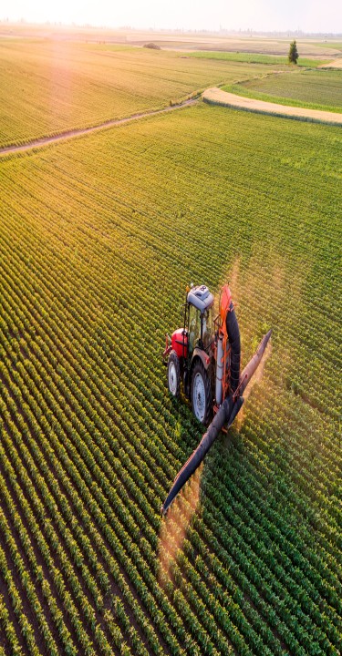 Aerial view of a tractor spraying soybean crops
