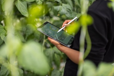 Cropped shot of a woman agronomist using digital tablet for analysis of plantation. Woman updating plants growth on digital tablet app in garden center.