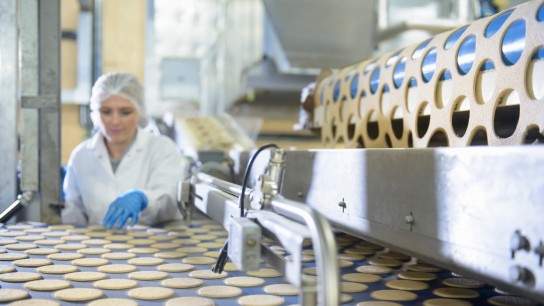 Greases for Food Industry