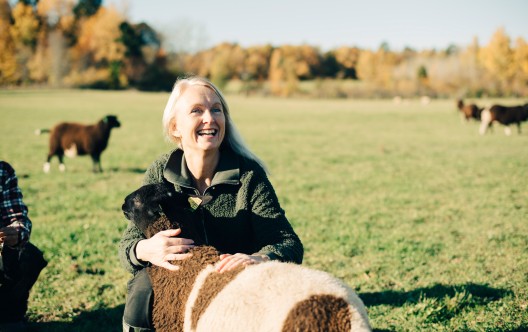 Lächelnde reife Bäuerin umarmt Schafe auf einem Feld