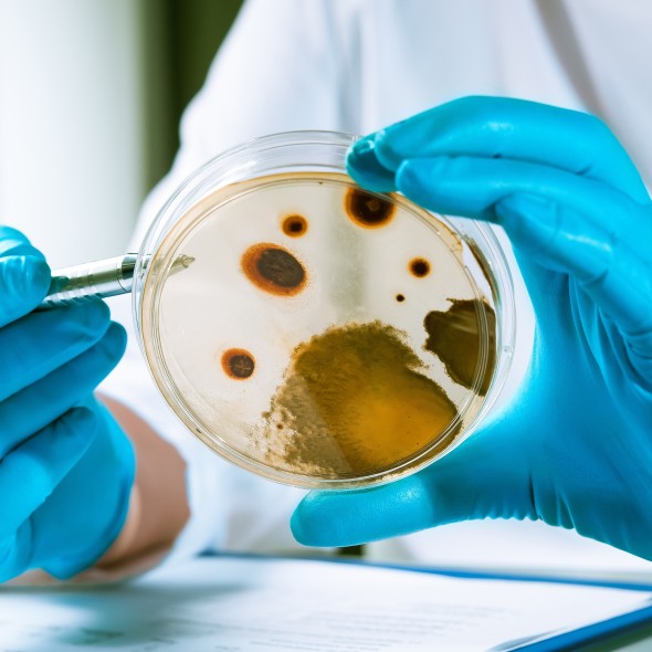 Biozidspezialisten