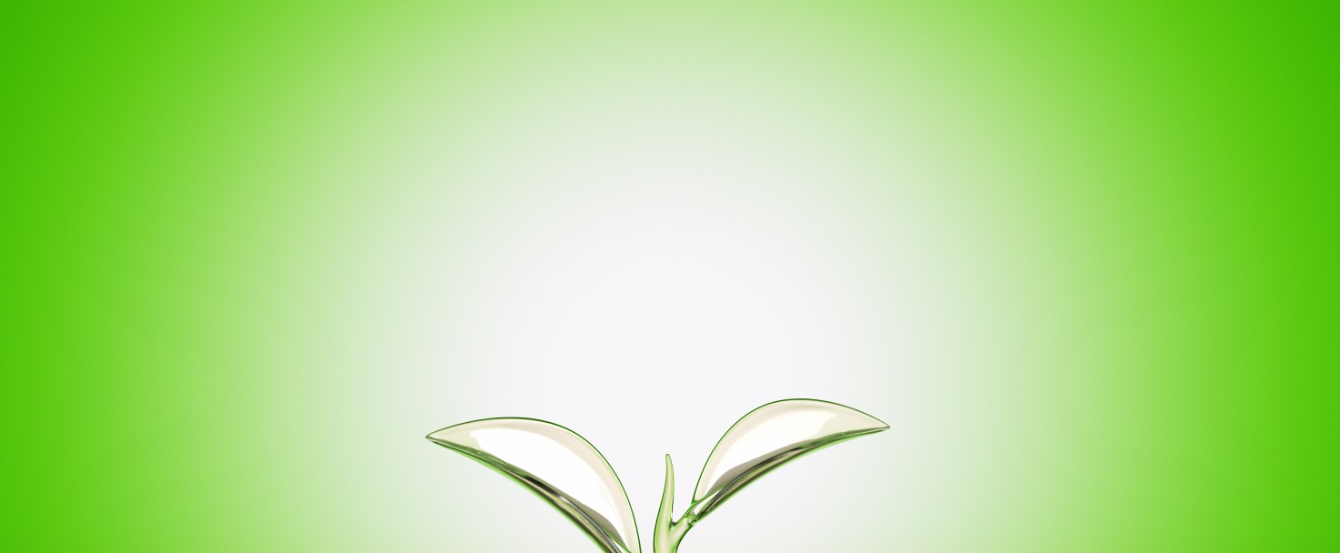 Water Sprout Splash