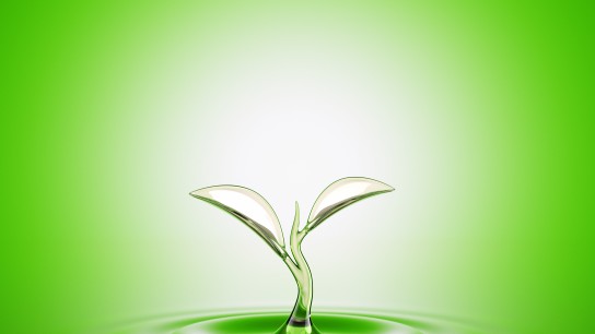 Water sprout splash