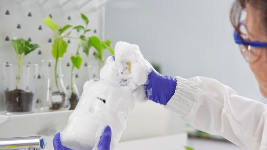 Woman washing a lab glass with gloves