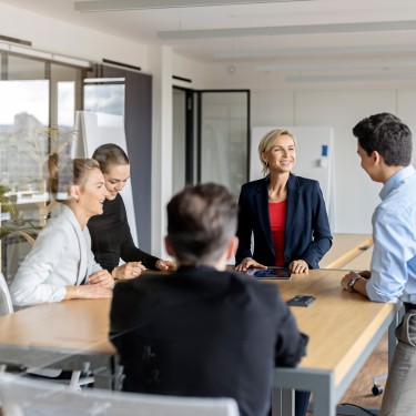 Businesswomann leading a meeting