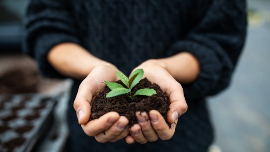 Female gardener holding a sapling with soil