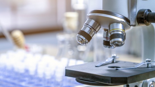 the laboratory test tubes
