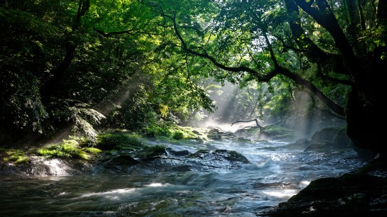 Photo taken in Kumamoto, Japan