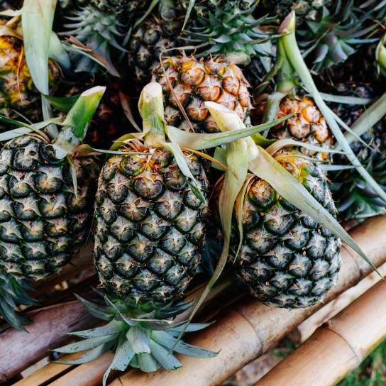Hawaiian pineapples fresh results background, Sweet, sour and juicy taste.Have a lot of fiber,vitamins C and minerals.Fruits or healthcare concept.