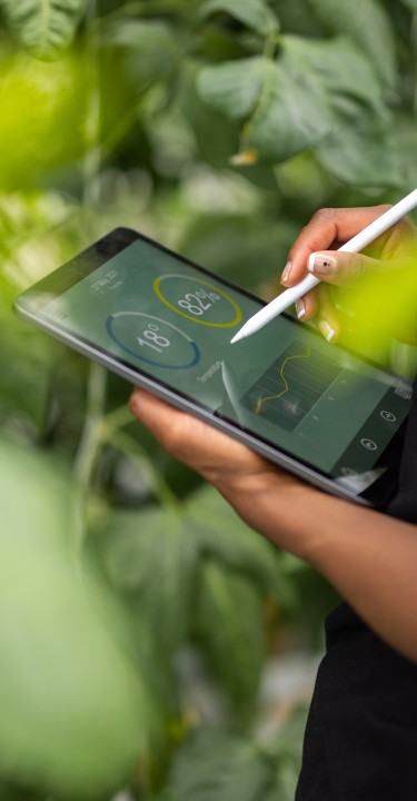 Cropped shot of a woman agronomist using digital tablet for analysis of plantation. Woman updating plants growth on digital tablet app in garden center.