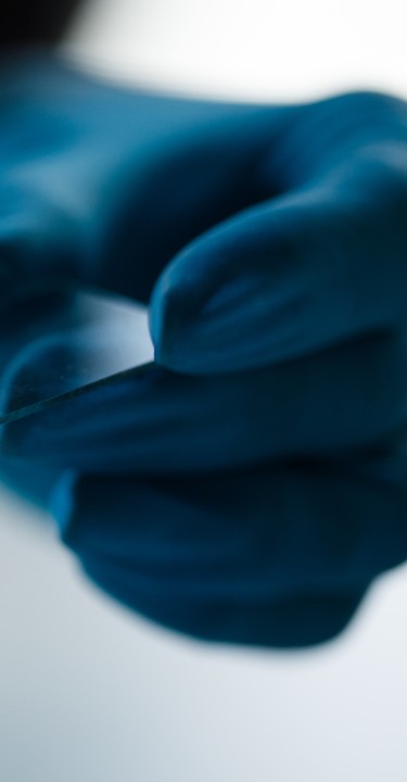 Close up shot of unrecognizable scientist, in surgical gloves, putting a drop of blood or red liquid, with a pipette, on a microscope slide, for analysis.