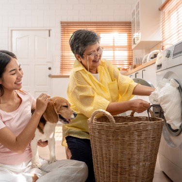 Attractive family loads laundry in washer appliance in kitchen at home. Asian senior elderly mom and daughter put dirty clothes to washing machine with her beagle dog. Domestic-House keeping concept.