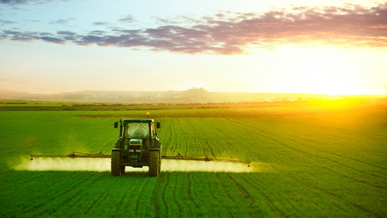 Tractor working in field of wheat