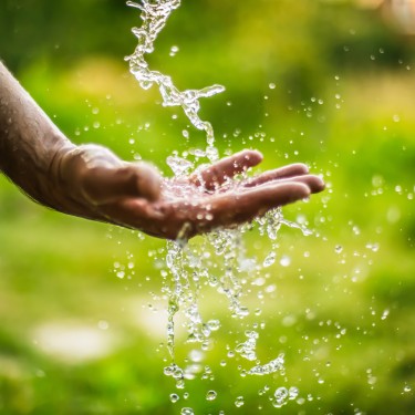 Water falling onto a hand in a field