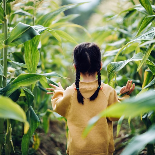 Protection and love of earth. Little girl holding planet in hands against green spring background.