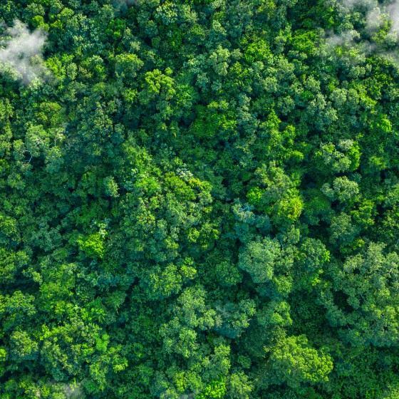 The photo shows a tropical green forest and nature from above with clouds, from a bird's eye view. The green lungs of the earth. The image symbolizes the sustainable use of nature and the importance of nature for people on earth, as well as the rare and precious beauty of untouched nature.
Impact of human activities on nature and the environment. Innovative ideas and promotion of sustainability. Sustainable Development. Carbon-neutral, CO2-free, low-carbon power generation, Eco-Friendly Business Idea. Environment-friendly Company Supply chains and manufacturing processes reducing gobal ecological Footprint. Environmental regulations. Making Value Chains Sustainable. Green Technology development. ESG-Investing, green investment funds and stocks, green climate fund, Sustainable investment products, Impact funds, Impact investing, ESG-Ratings, ESG Score. Green Business. Environmentally sustainable companies. Investing with a good conscience. Responsible Investing.
GettyImages-1437544489.jpg