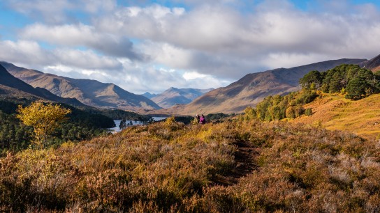 Walkers in Glen Affric, Scotland