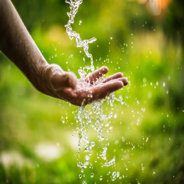 Water falling onto a hand in a field