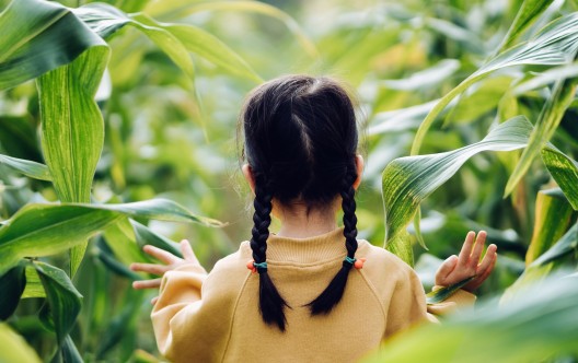 Protection and love of earth. Little girl holding planet