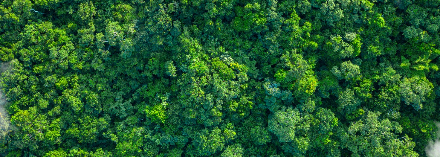 The photo shows a tropical green forest and nature from above with clouds, from a bird's eye view. The green lungs of the earth. The image symbolizes the sustainable use of nature and the importance of nature for people on earth, as well as the rare and precious beauty of untouched nature.
Impact of human activities on nature and the environment. Innovative ideas and promotion of sustainability. Sustainable Development. Carbon-neutral, CO2-free, low-carbon power generation, Eco-Friendly Business Idea. Environment-friendly Company Supply chains and manufacturing processes reducing gobal ecological Footprint. Environmental regulations. Making Value Chains Sustainable. Green Technology development. ESG-Investing, green investment funds and stocks, green climate fund, Sustainable investment products, Impact funds, Impact investing, ESG-Ratings, ESG Score. Green Business. Environmentally sustainable companies. Investing with a good conscience. Responsible Investing.
GettyImages-1437544489.jpg